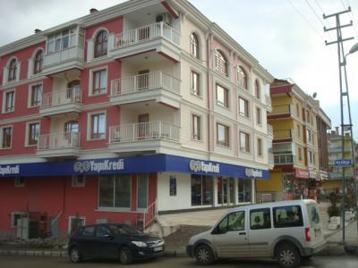 YILDIZ BUSE