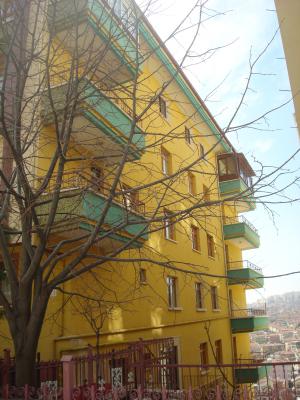 Yıldız Kaygan 2
